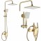 Купити Душевая штанга с тропическим душем REA HASS BRUSHED GOLD цвет золото с изливом