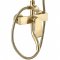 Купити Душевая штанга с тропическим душем REA HASS BRUSHED GOLD цвет золото с изливом